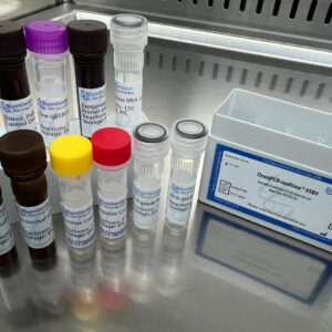 Avocado Sunblotch Viroid detection kits