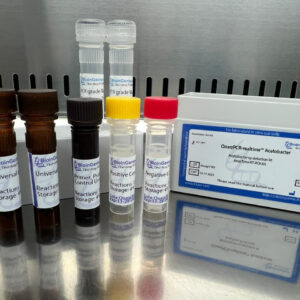 Acetobacter sp. detection kits