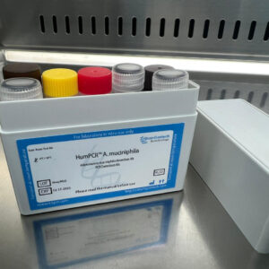 Akkermansia muciniphila detection kits