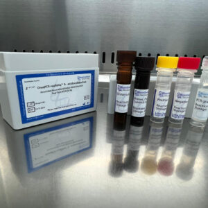 Alicyclobacillus acidocaldarius detection kits