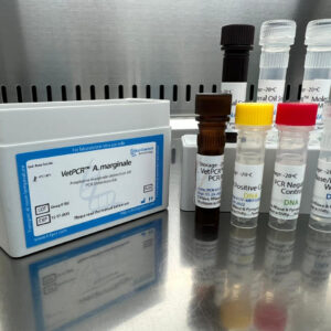 Anaplasma marginale detection kits