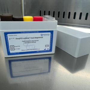 Asaia bogorensis detection kits