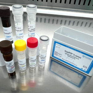 Aspergillus terreus detection kits
