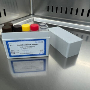 Atopobium vaginae detection kits