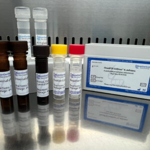 Aureobasidium pullulans detection kits
