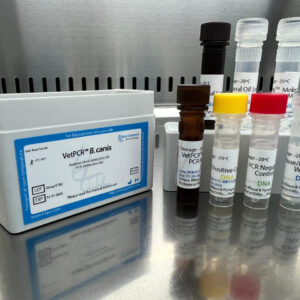 Babesia canis detection kits
