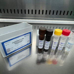 Beggiatoa alba detection kits