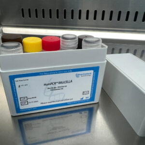 Brucella spp. detection kits