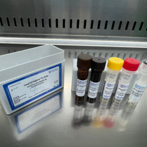 Byssochlamys nivea detection kits