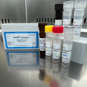 Camelpox detection kits