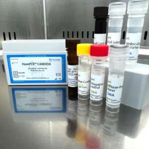 Candida sp. detection kits