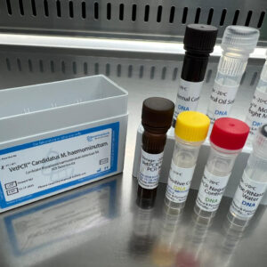 Candidatus Mycoplasma haemominutum detection kits