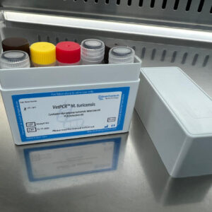 Candidatus Mycoplasma turicensis detection kits
