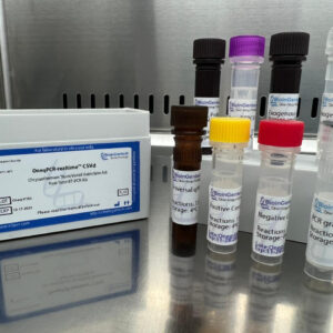 Chrysanthemum Stunt Viroid detection kits