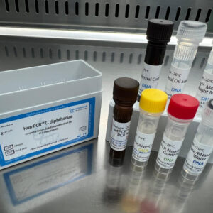 Corynebacterium diphtheriae detection kits