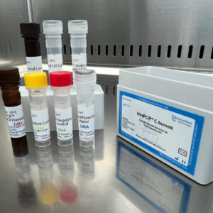 Coxiella burnetii detection kits