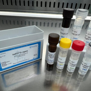 Dirofilaria repens detection kits