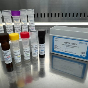 Avian metapneumovirus detection kits