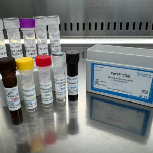 Bluetongue virus 6 detection kits