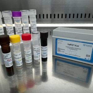 Feline coronavirus detection kits