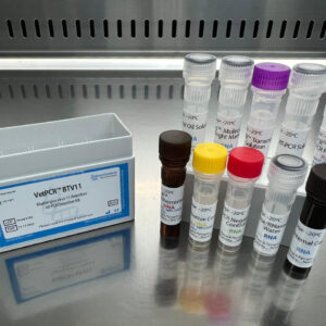 Bluetongue virus 11 detection kits
