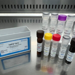 Spring viraemia of carp virus detection kits