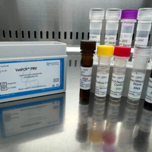 Piscine reovirus detection kits