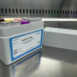Avian influenza H5N8 detection kits