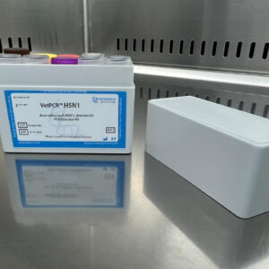 Avian influenza A (H5N1) detection kits