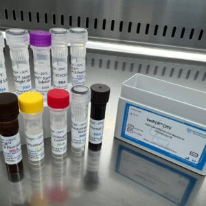 Canine parainfluenza virus detection kits