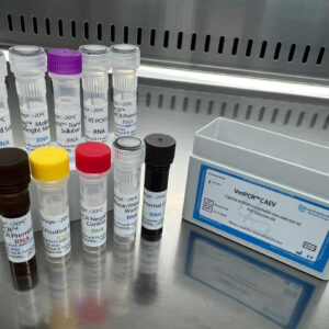 Caprine arthritis-encephalitis virus detection kits