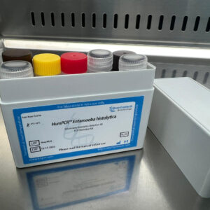 Entamoeba histolytica detection kits