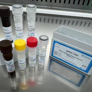 Epizootic haematopoietic necrosis virus detection kits