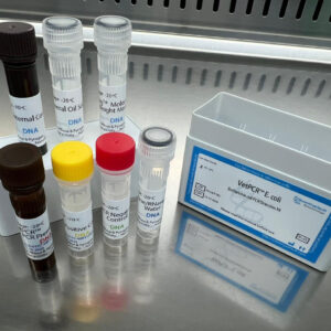 Escherichia coli detection kits