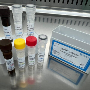 Flavobacterium columnare detection kits