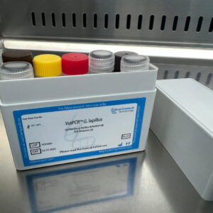 Gambierdiscus lapillus detection kits