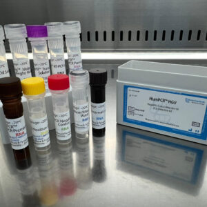 Hepatitis G virus detection kits