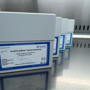 Human bocavirus detection kits