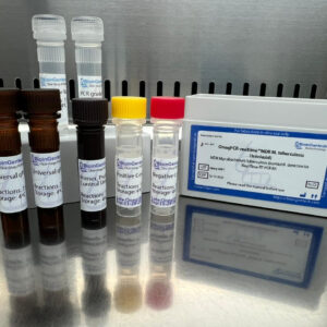 MDR Mycobacterium tuberculosis (Isoniazid) detection kits