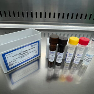 MDR Mycobacterium tuberculosis (Pyrazinamide) detection kits