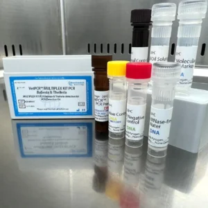 MULTIPLEX KIT PCR Babesia & Theileria detection kits