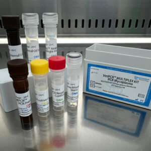 MULTIPLEX KIT PCR Mycoplasma