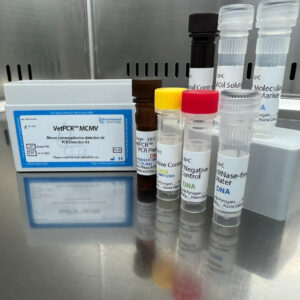 Mouse cytomegalovirus detection kits