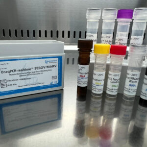 Multiplex Ebola hemorrhagic fever Virus / Marburg Virus