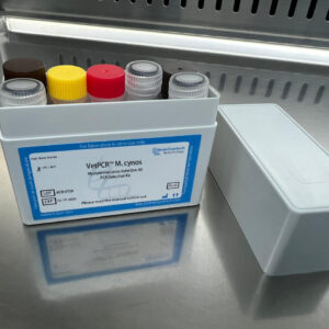 Mycoplasma cynos detection kits