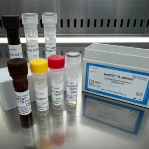 Nucleospora salmonis detection kits