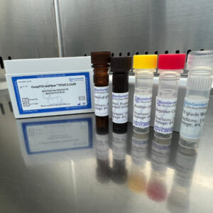 Penicillium spp. detection kits