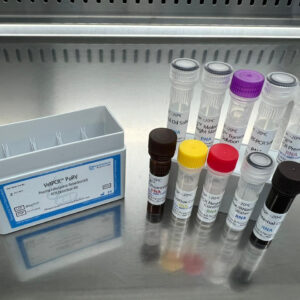 Porcine rubulavirus detection kits