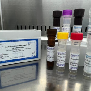 One-Step qPCR-realtime™ SARS CoV-2 E-CY5 and N-FAM Genes