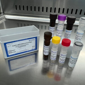 One-Step qPCR-realtime™ SARS CoV-2 E-CY5 gene